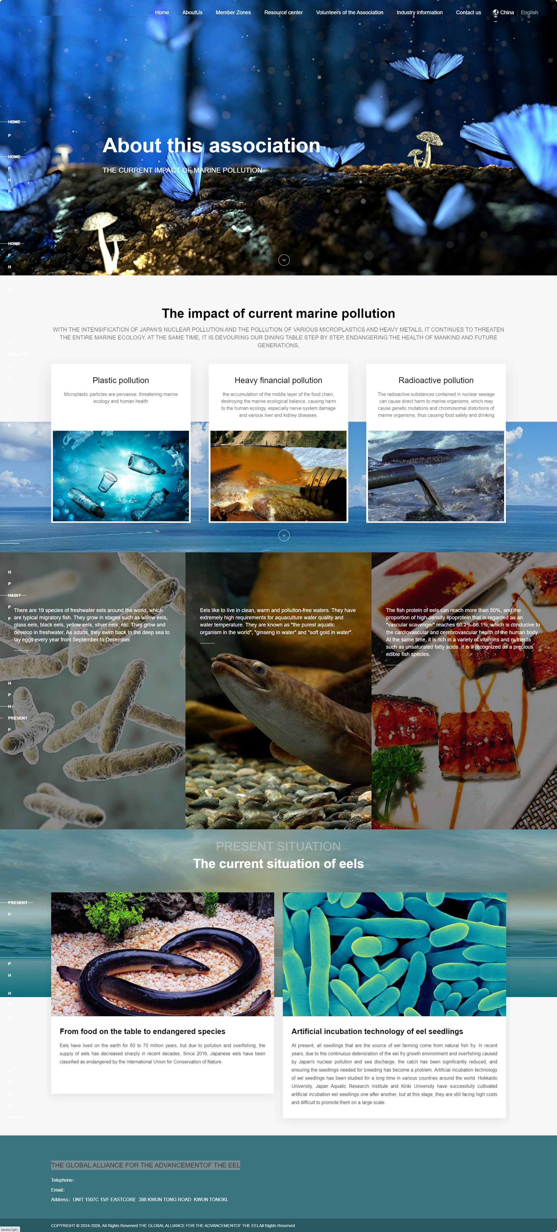 全球鳗鱼进步联盟英文企业官网建设制作定制案例 PC端预览图