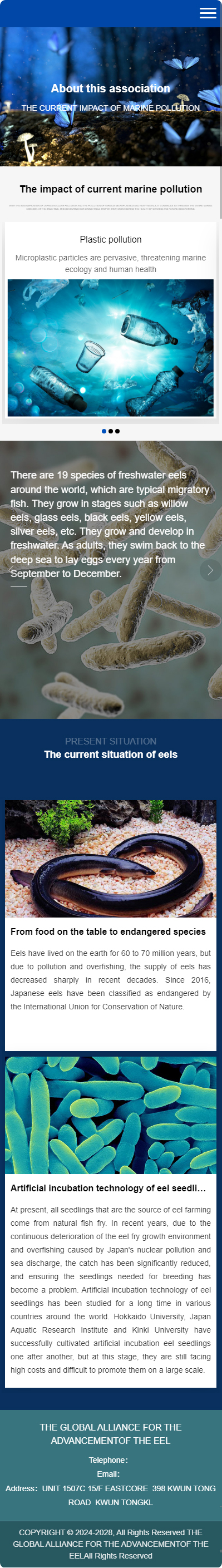 全球鳗鱼进步联盟英文企业官网建设制作定制案例 手机端预览图