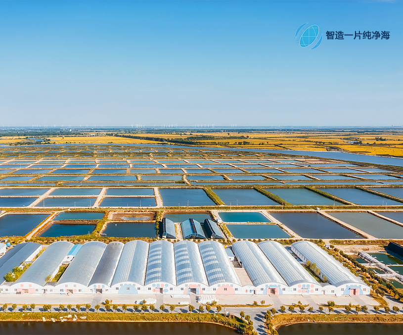 广东横琴粤澳深度合作区兆海智慧云科技有限公司集约养殖品牌网站制作建设案例