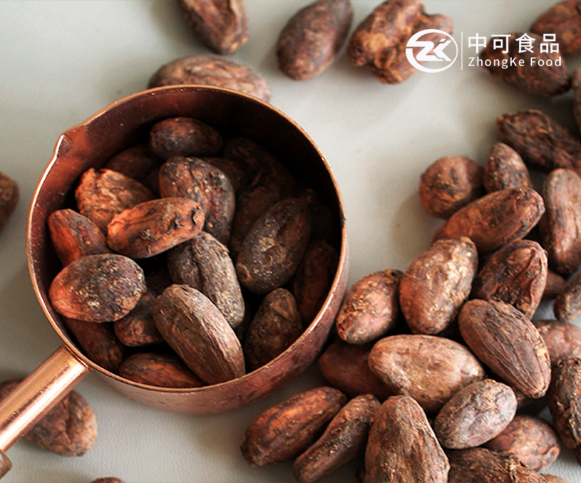 丹阳市中可食品有限公司可可粉产品阿拉伯语外贸网站建设制作案例